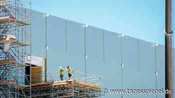 Schwächeres Wachstum: Chips aus der Waschmaschine - Tagesspiegel