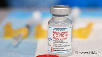 Klinische Studie gestartet - Moderna macht beim Omikron-Impfstoff Tempo! - BILD