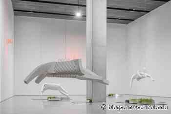 Rit Premnath, Assistant Professor of Fine Arts, Creates Sculptures that Explore Power and Marginalized Communities - The New School News