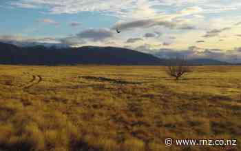 Mackenzie Basin goes into restricted fire season - RNZ