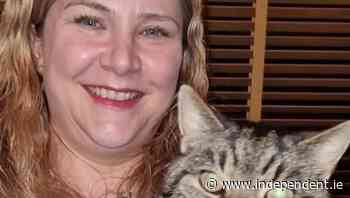 'Fergus' the cat reunited with owner after 11 years away from home - Independent.ie