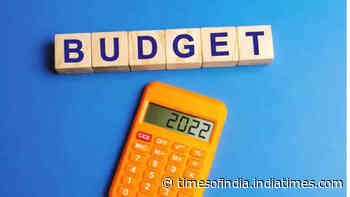 Budget is the financial planning of the economy for the whole year: Former Finance Secy Subhash Chandra Garg