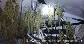 Police find remnants of large cannabis farm at Bolton home - Manchester Evening News