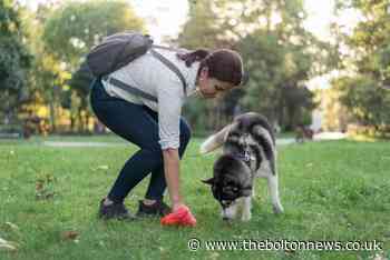 Man fined after 'repeatedly' failing to pick up dog poo - The Bolton News