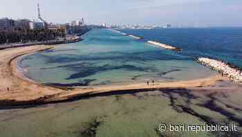 Bari, bassa marea da record: un ponte di sabbia attraversa il mare e collega la spiaggia ai frangiflutti di … - La Repubblica