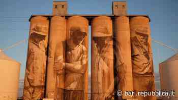 Bari, i silos del porto diventano opere d'arte: il re dei murales incontra i cittadini per trarre ispirazione - La Repubblica