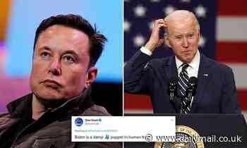 Elon Musk calls Biden a 'damp sock puppet' after not being invited to White house EV meeting