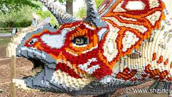 Eindrucksvolle Ausstellung: Dinosaurier aus Klemmbausteinen erobern das Stadtzentrum Schenefeld | shz.de - shz.de
