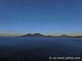 Mexican town protects forest from avocado growers, cartels - Yahoo News Canada