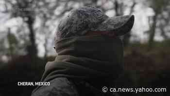 Mexicans defend forest from gangs, avocados - Yahoo News Canada