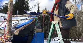 Rare lichen discovery puts Annapolis County forest harvest plan on hold - SaltWire Network