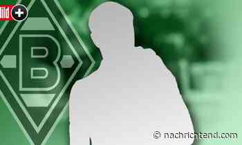 Gladbach: An Stelle von Adi Hütter! *** BILDplus-Inhalte *** – Bundesliga-Notfallplan mit DIESEM Star-Coach - nachrichtend.com