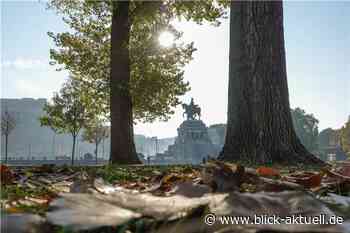 Koblenz: Zwei Eilanträge gegen Verbot der „Corona-Spaziergänge“ abgelehnt - Blick aktuell