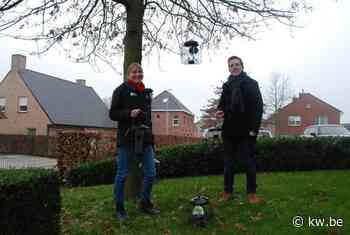 Gemeente Pittem lanceert burgerwetenschapsproject met voedersilo's voor kleine tuinvogels - KW.be - KW.be