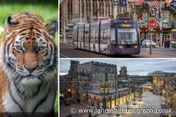 Best things to do in Lancashire according to TripAdvisor reviews