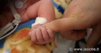 Catania, sempre più casi di Covid tra bambini: come sta la piccola di 2 mesi in Ecmo - La Sicilia