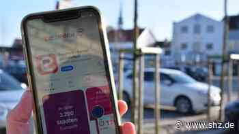 Öffentliche Parkplätze: „Easy Park“ macht das Parken in Kappeln bald digital | shz.de - shz.de