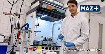 Minister übergibt mehr Verantwortung für Lebensmittelforscher in Bad Belzig - Märkische Allgemeine Zeitung