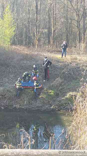 Trovato un cadavere tra le acque dell'Olona - Prima Saronno
