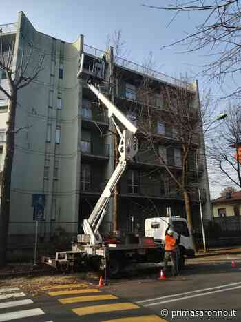 Iniziati i lavori di manutenzione straordinaria del verde - Prima Saronno