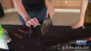 Weekend Gardener: It's time to clean your tools - kbtx.com