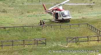 Scivola dal sentiero e resta bloccata nel dirupo - Toscana Media News
