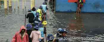 Madagascar : Des maisons en ruines et des rats après la tempête Ana
