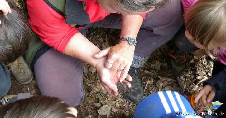 Bamberger Ferienabenteuer: wer macht mit?
