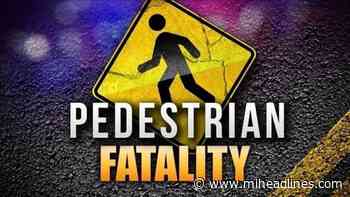 Man Killed in St. Clair County Car-Pedestrian Crash - MI Headlines