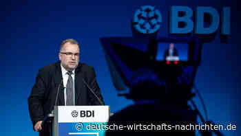 BDI-Chef Deutschlands verurteilt Corona-Management der Bundesregierung
