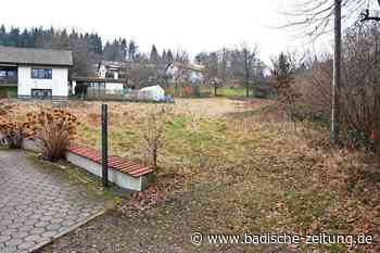 In Steinen soll eine Baulücke geschlossen werden, aber das ist gar nicht so einfach - Steinen - Badische Zeitung