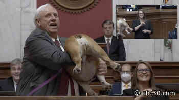 West Virginia governor shows dog's 'heinie,' tells Bette Midler to kiss it during televised address