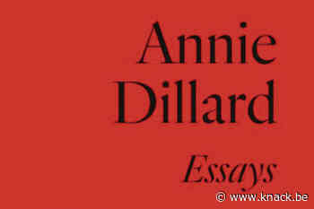 'Schrijversleven' van Annie Dillard: een fijn boekje dat deugd doet in een tijd van veel geschreeuw