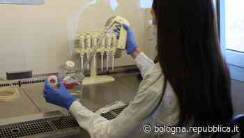 Modena, la sperimentazione su pazienti con polmonite da covid tramite infusione di cellule: "Stanno bene" - La Repubblica