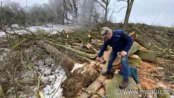 Taufkirchen: Kahlschlag einer Natur-Oase: Anwohner entsetzt - Merkur Online