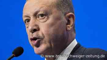 Erdogan droht mit Maßnahmen gegen "schädliche" Medieninhalte