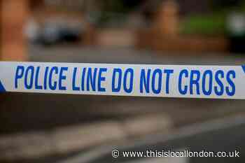 Woman rushed to major trauma centre after crash in Wimbledon