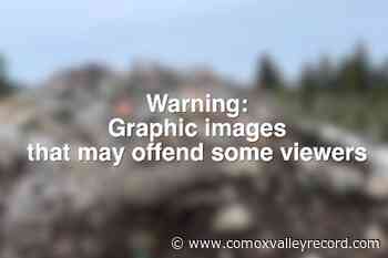 Princeton area pig composter gets warning letter from ministry – Comox Valley Record - Comox Valley Record