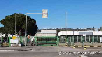 Gigafactory: “Se tradisce Termoli, Governo uccide l'industria dell'auto” - Primonumero