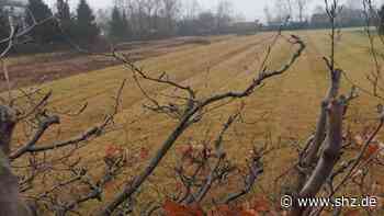 Fast 200 Wohnungen vorgesehen: Mehr Verkehr erwartet: Tornesch kritisiert geplantes Uetersener Wohngebiet | shz.de - shz.de