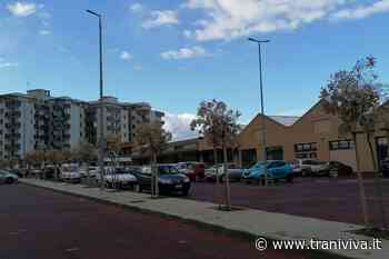 Alberi ormai secchi, da poco piantati: lo sdegno del consigliere comunale Vito Branà - TraniViva