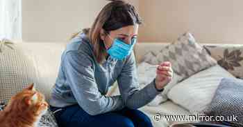 Urgent warning to all Brits who contracted the Omicron coronavirus variant last month - The Mirror