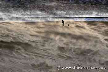 Woman killed by falling tree as Storm Malik batters UK - St Helens Star