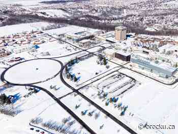Input needed from Brock community on search for Vice-Provost, Teaching and Learning - Brock University