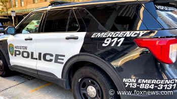 Houston official blames anti-police rhetoric, weak DAs for rash of violence against cops