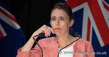 New Zealand premier Jacinda Ardern isolates after coronavirus contact - Wales Online