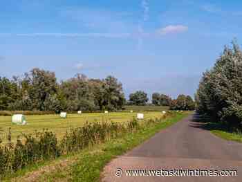 JEAN: Compassion has no shame - Wetaskiwin Times Advertiser