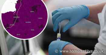 More than 1,200 Coronavirus cases are recorded in Somerset - Somerset Live