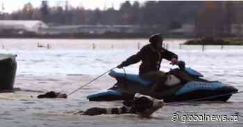 Local Holstein club sends helping hand to BC dairy farmers