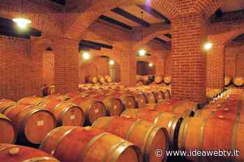 Confagricoltura Cuneo sui controlli per la sicurezza alimentare: “Bene le verifiche, ma senza appesantimenti” - IdeaWebTv